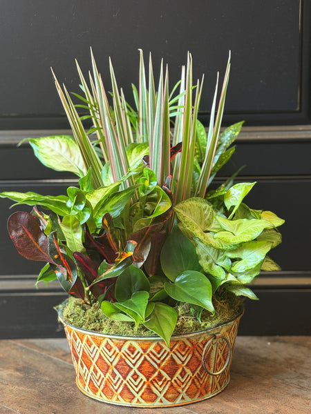 Indoor Planters